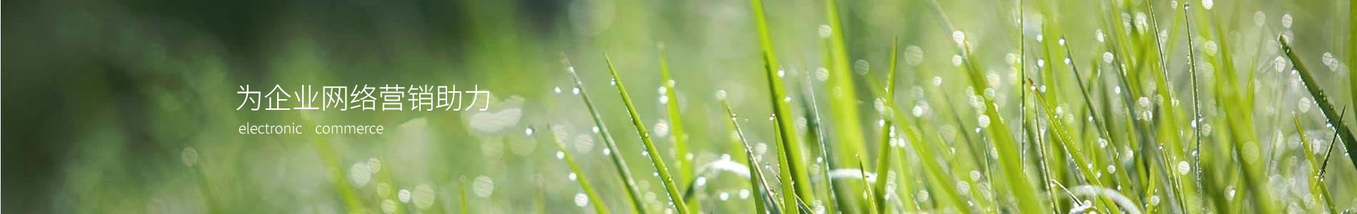 Ϻ˼ܿƼ޹˾